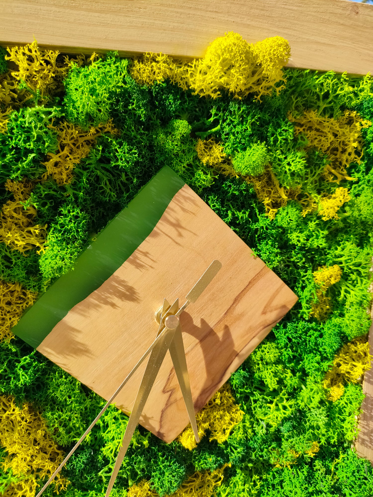 Orologio botanico con quadrante in legno d’ulivo, licheni e resina