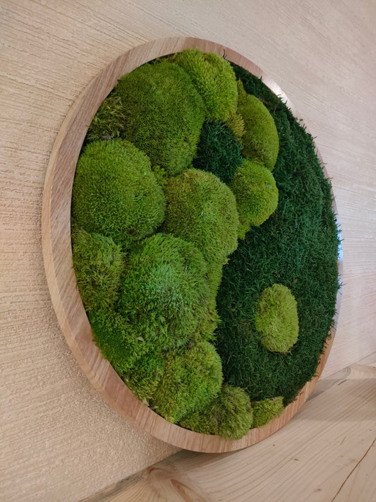 Quadro Yin Yang – cornice vegetale armonia duale