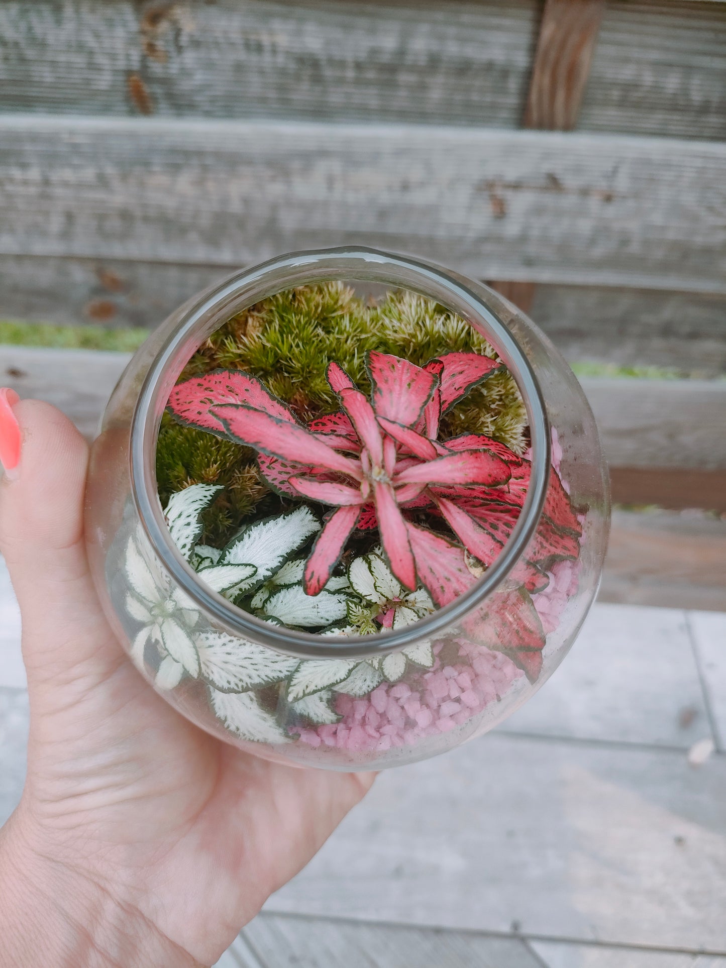 Terrarium bomboniera in barattolo di vetro dettaglio