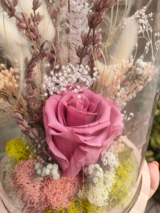 Campana in vetro con rosa stabilizzata al centro, composizione floreale botanica elegante.