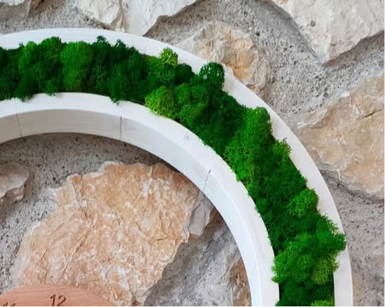 Qui e Ora - Orologio Vegetale “Vivi il Presente” – lichene stabilizzato ,dettaglio