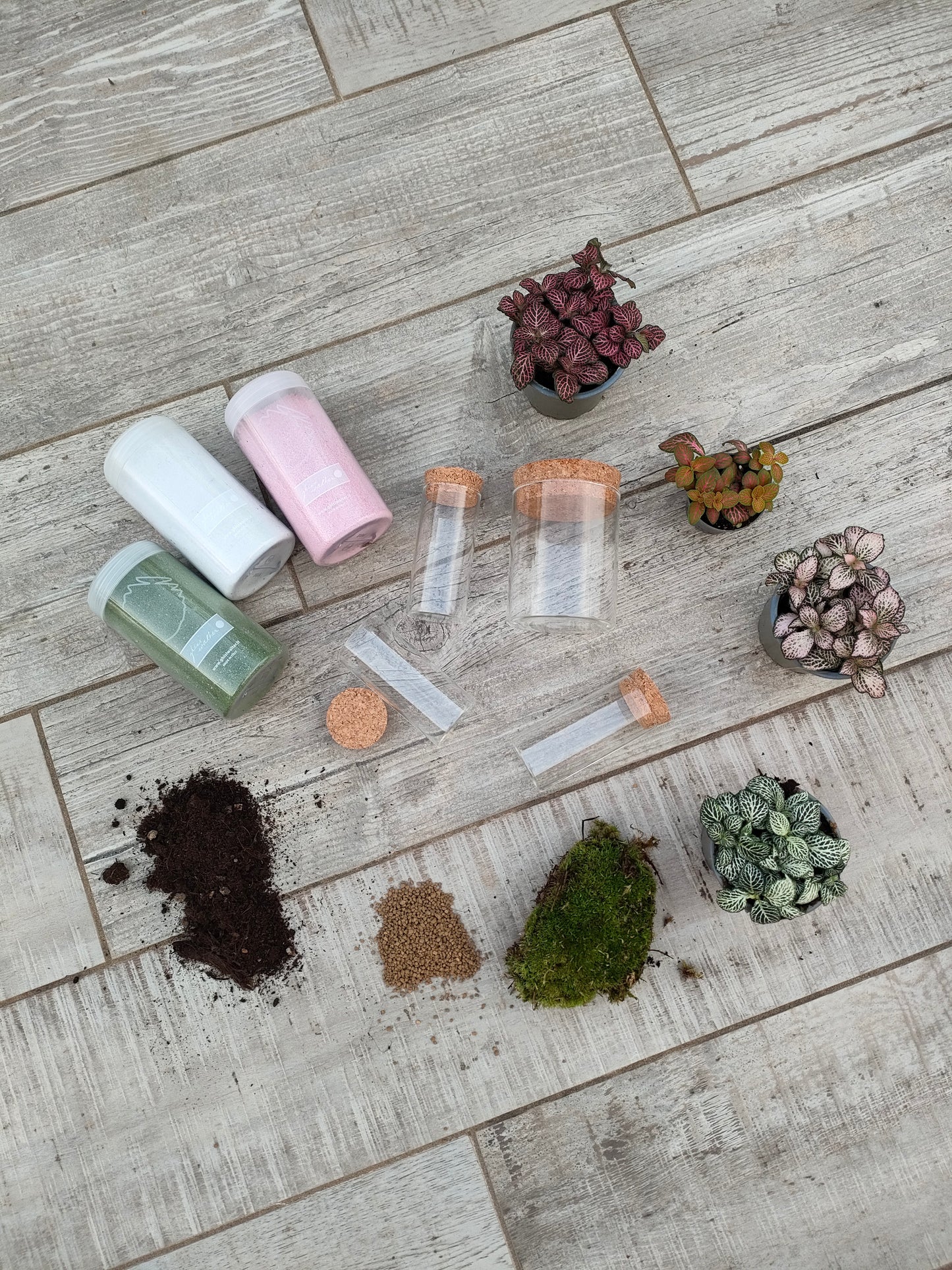 Scrigno – micro‑ecosistema verde sotto vetro