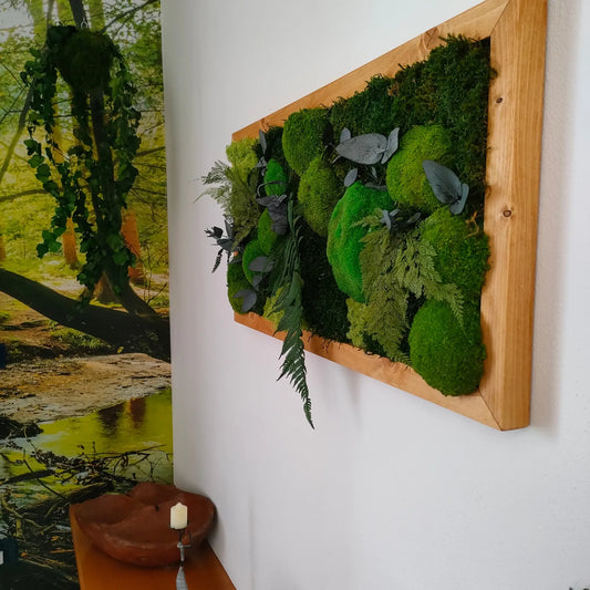 Cornice con muschi licheni e felci stabilizzate