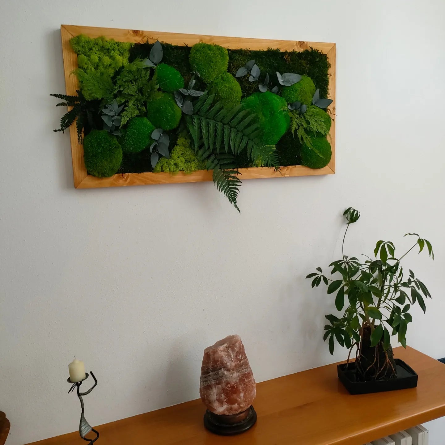 Cornice con muschi licheni e felci stabilizzate