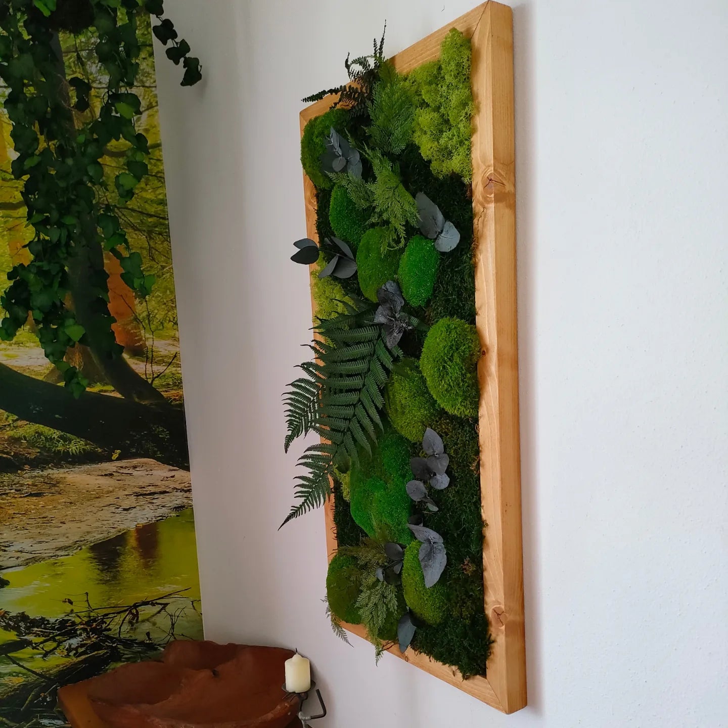 Cornice con muschi licheni e felci stabilizzate