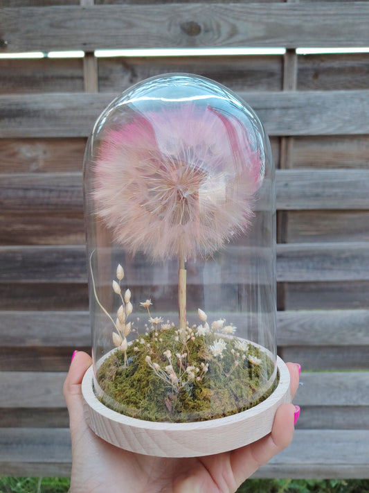 cupola botanica con soffione e muschio