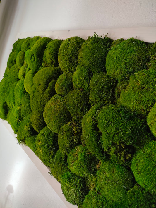 Cornice “Dune Verdi” – PoleMoss stabilizzato artigianale