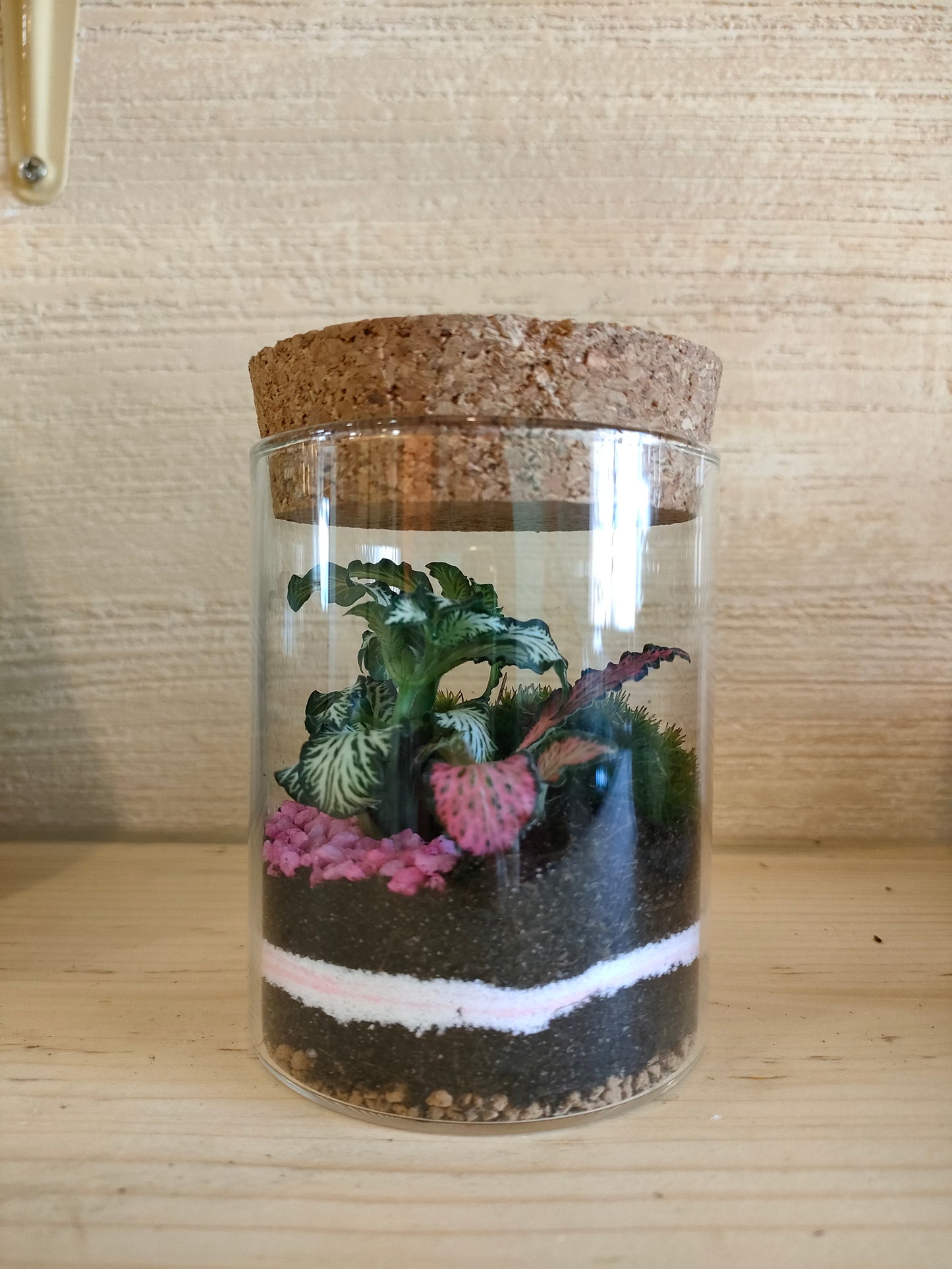 Scrigno – micro‑ecosistema verde sotto vetro