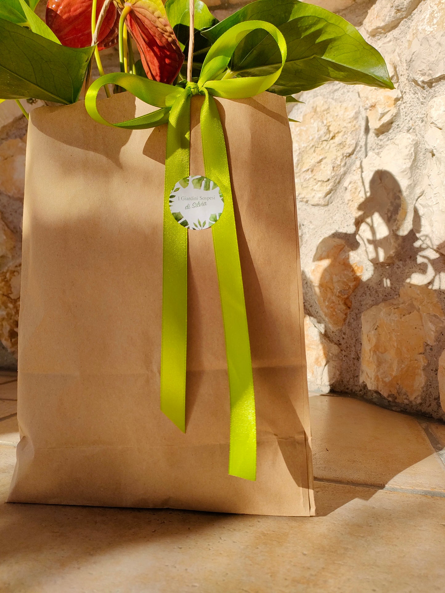 Bomboniera Kokedama – Fatta a Mano con Piante Vere