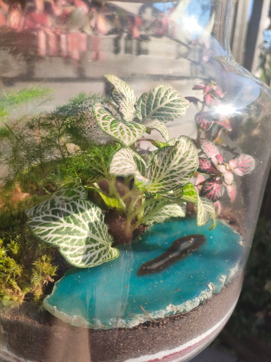 Terrarium “Damigiana” con Agata Verde – composizione in vetro