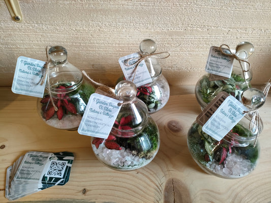 Bomboniere terrarium con fittonia e quarzo rosa