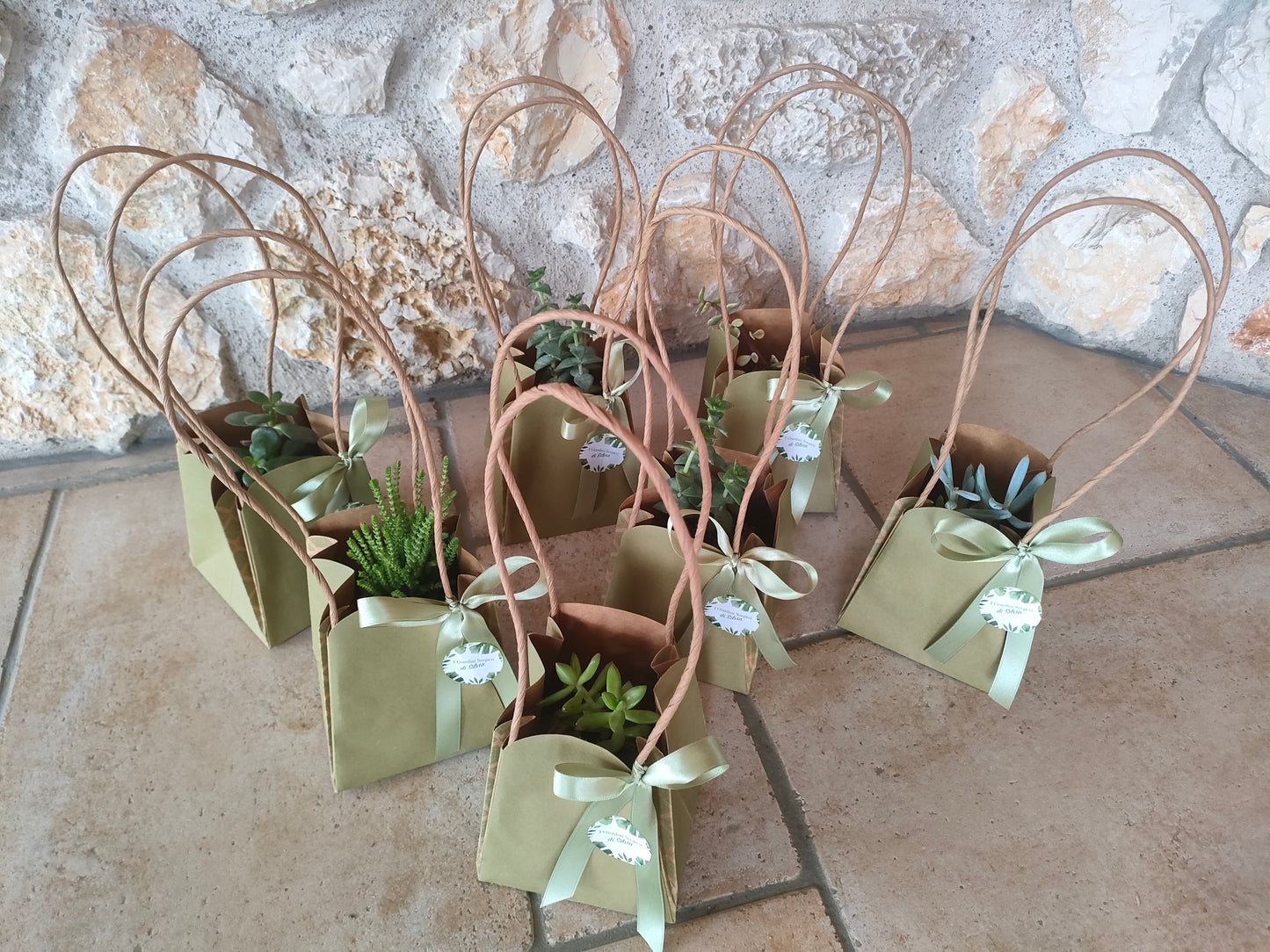 Bomboniera Kokedama – Fatta a Mano con Piante Vere