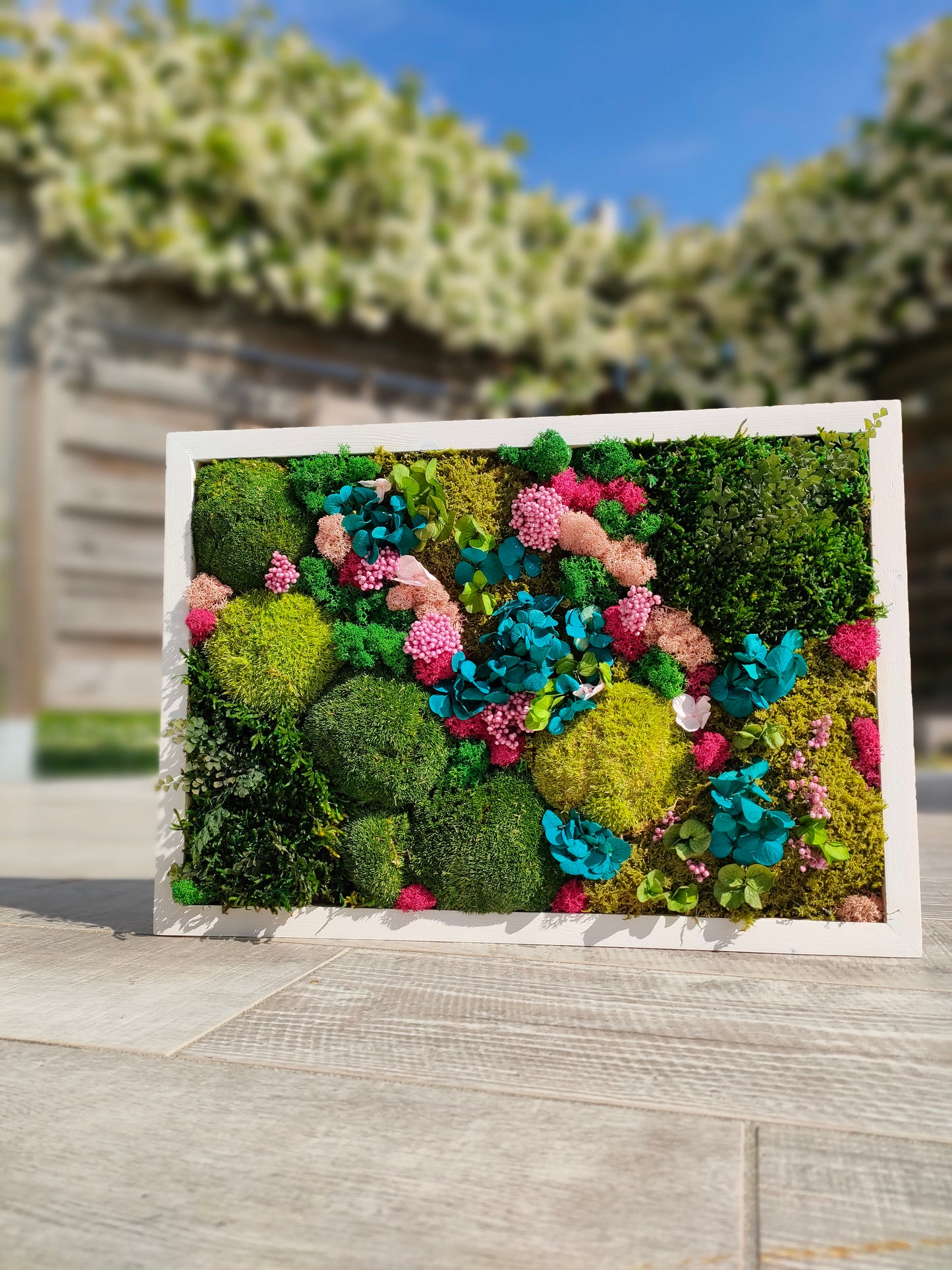 Cornice botanica con ortensie stabilizzate azzurre e licheni colorati