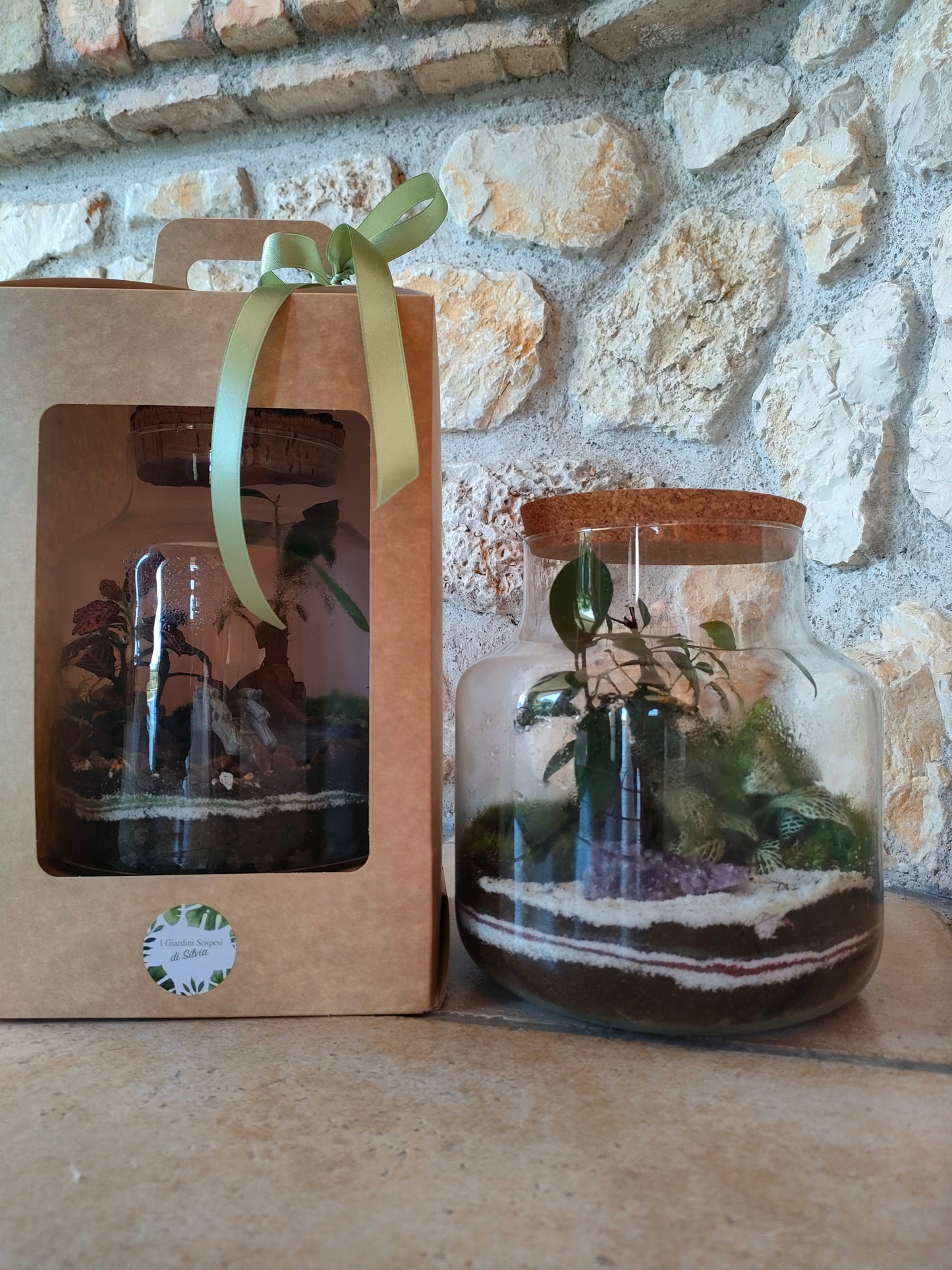 Bomboniera terrarium damigiana con ficus ginseng