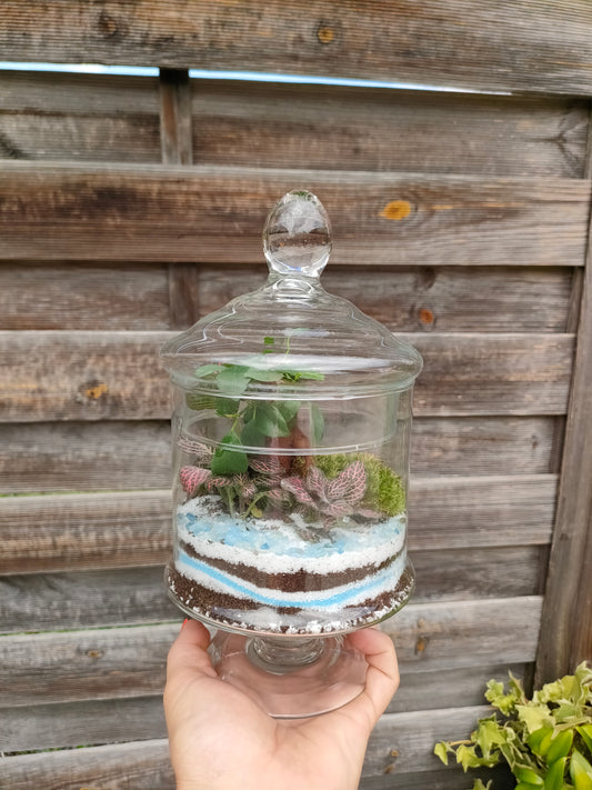 Terrarium “Oasi” _ un giardino sottovetro