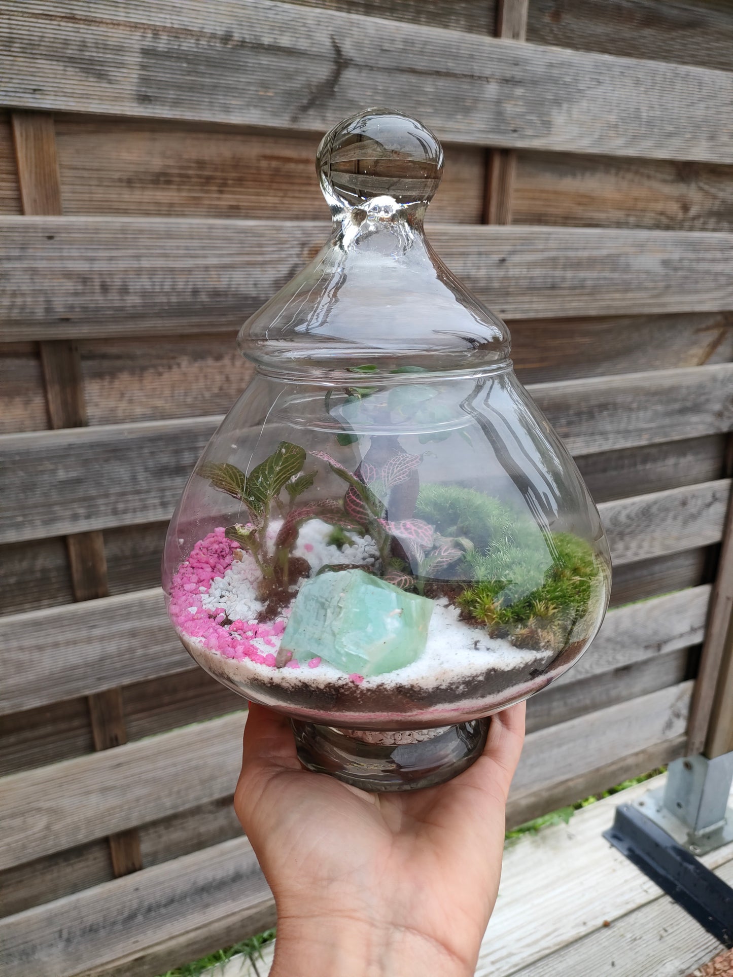 Terrarium bomboniera in barattolo di vetro