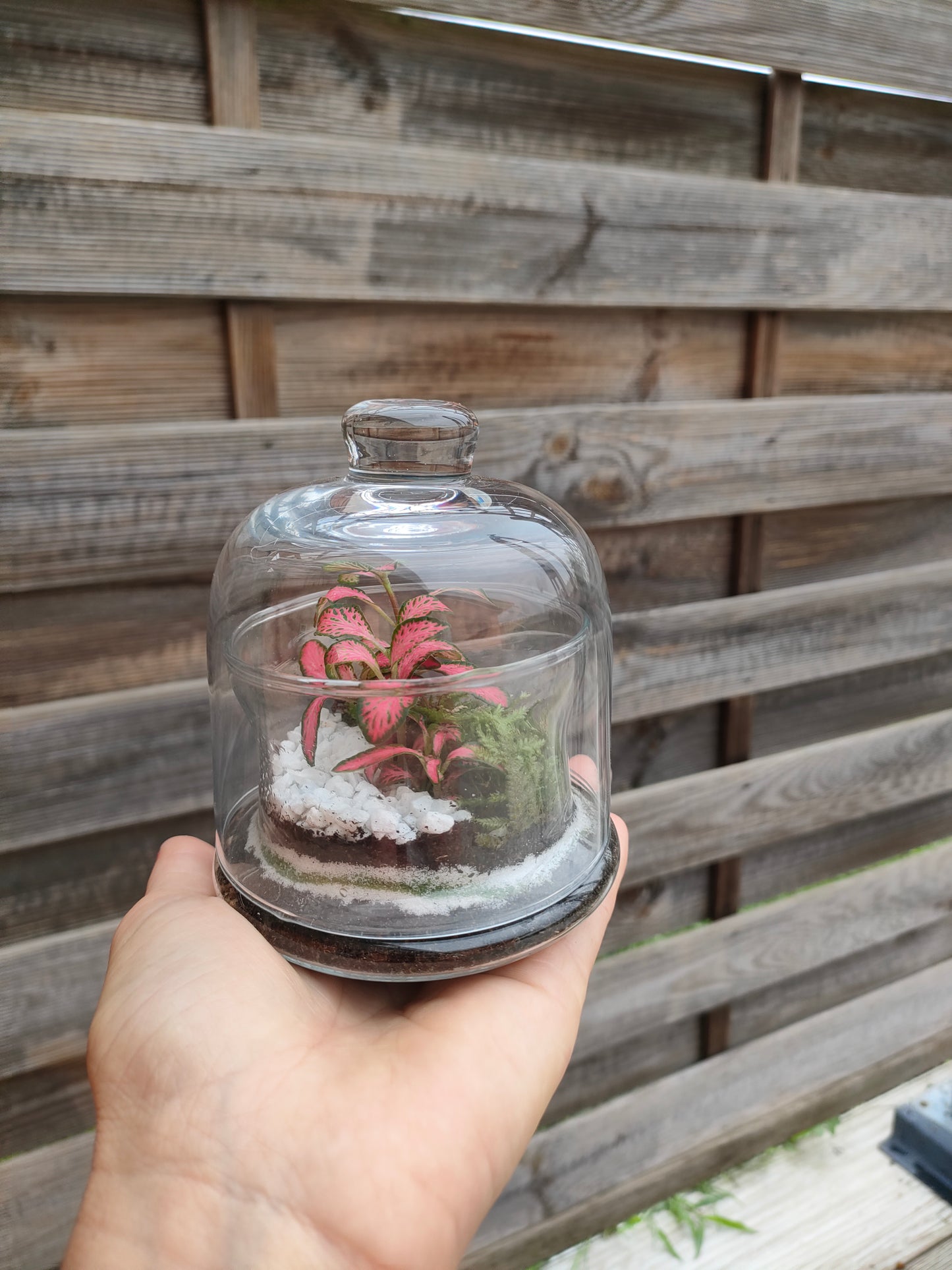 Bomboniere Terrarium – Giardini sotto vetro
