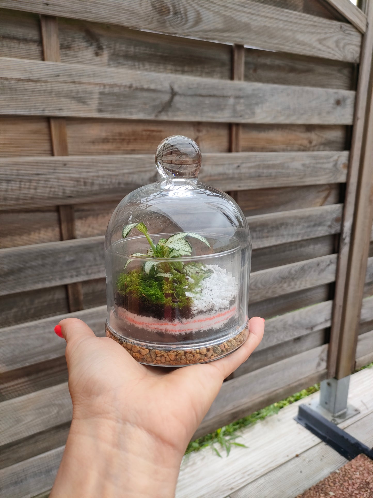 Bomboniere Terrarium – Giardini sotto vetro