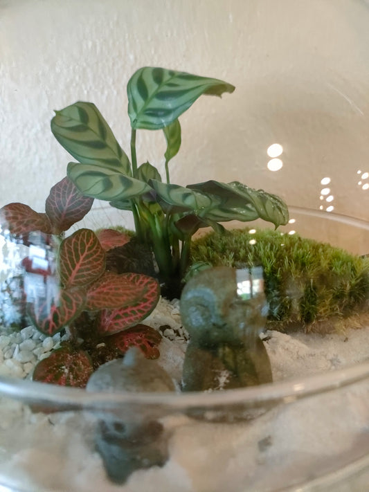 🧘♂️ Terrarium Zen Sferico – Giardino di Pace in Miniatura
