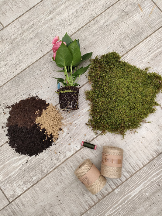 Materiali per realizzare un kokedama di anthurium