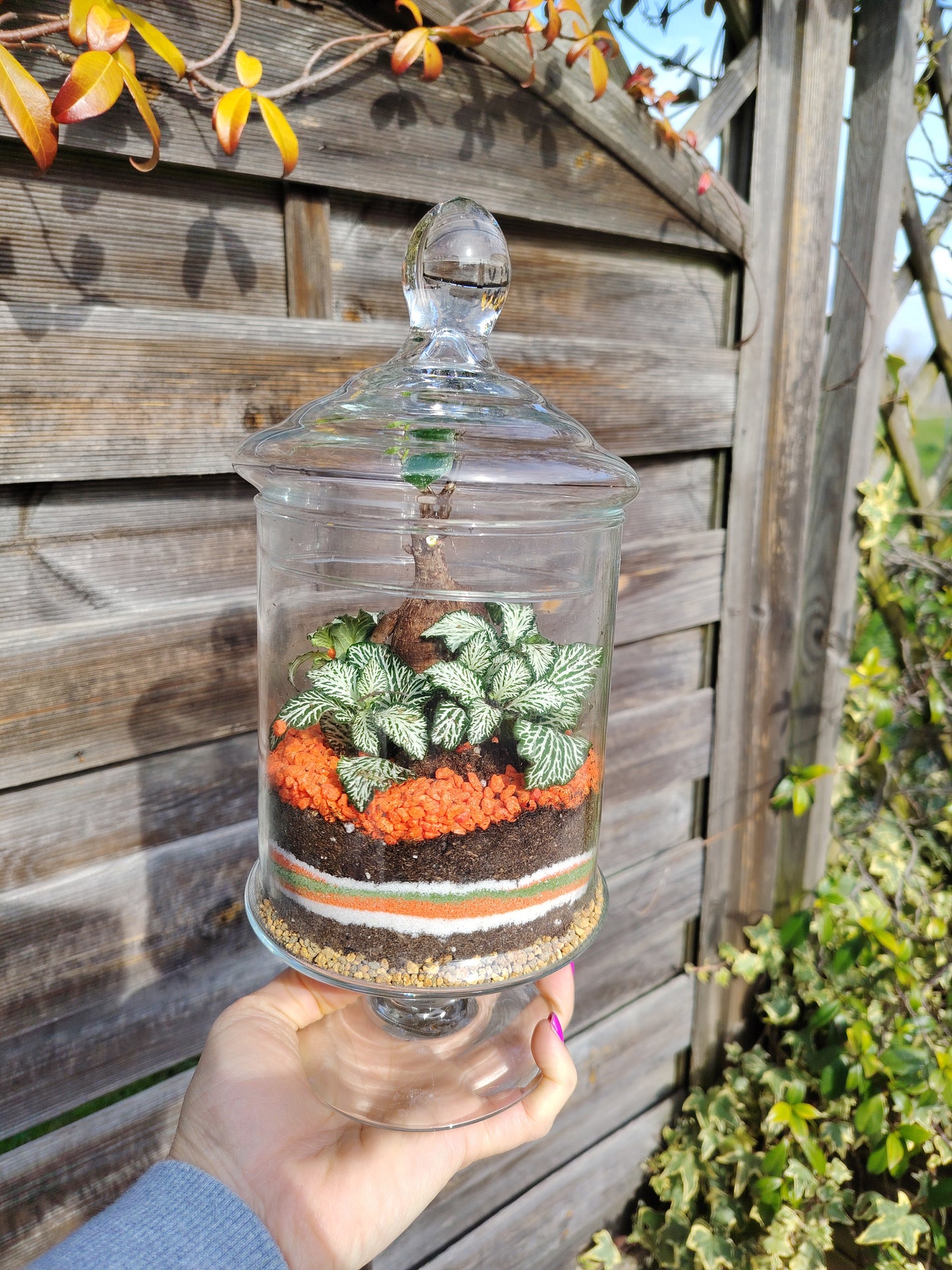 Terrarium “Oasi” _ un giardino sottovetro