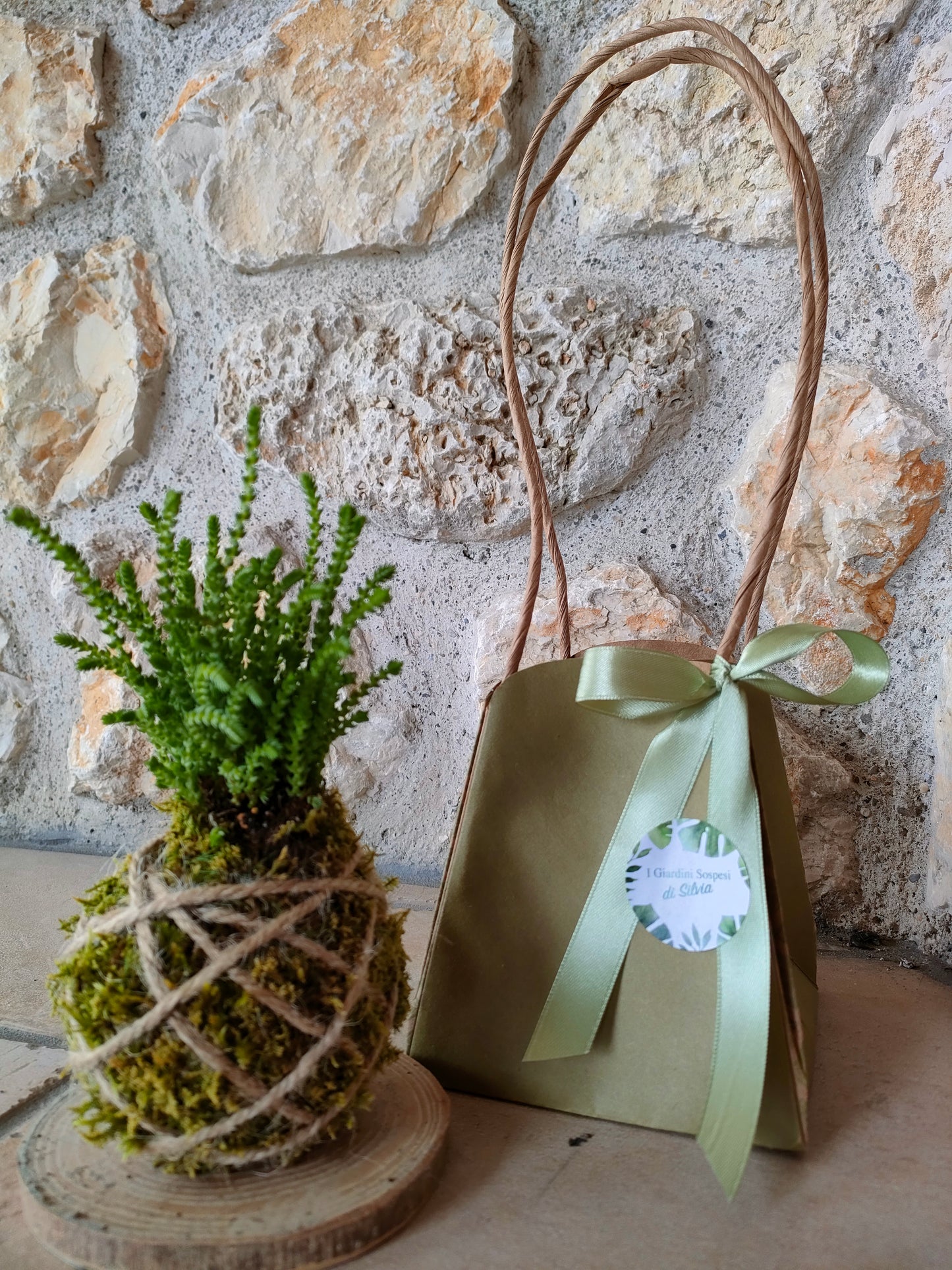 Kokedama pianta grassa con confezione regalo naturale