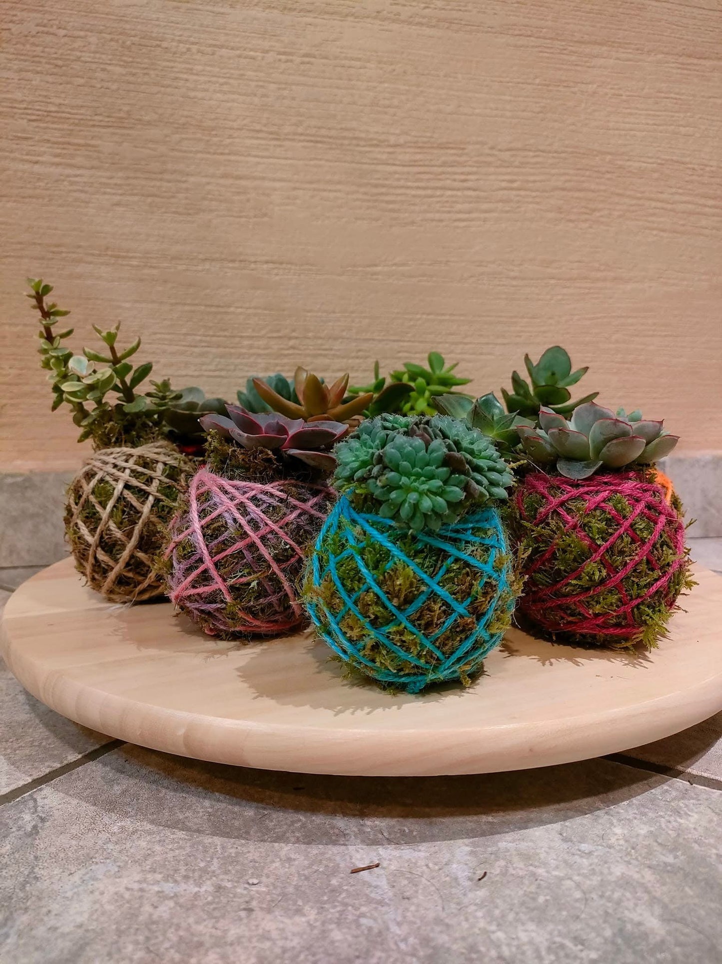 Mini Kokedama con pianta grassa e filo in juta decorativa