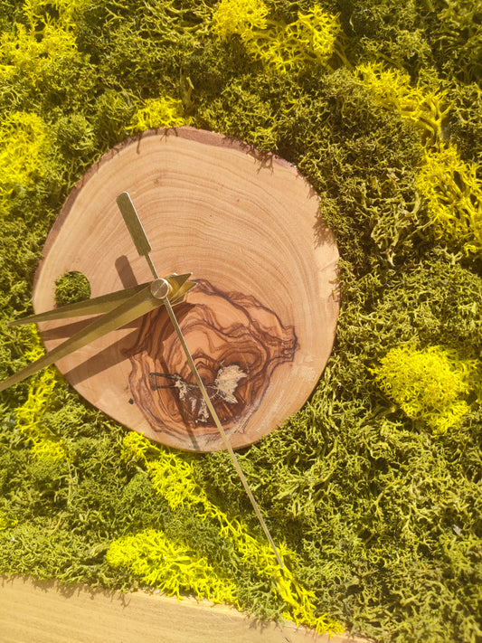 Orologio botanico con cerchio in legno massello e muschio stabilizzato