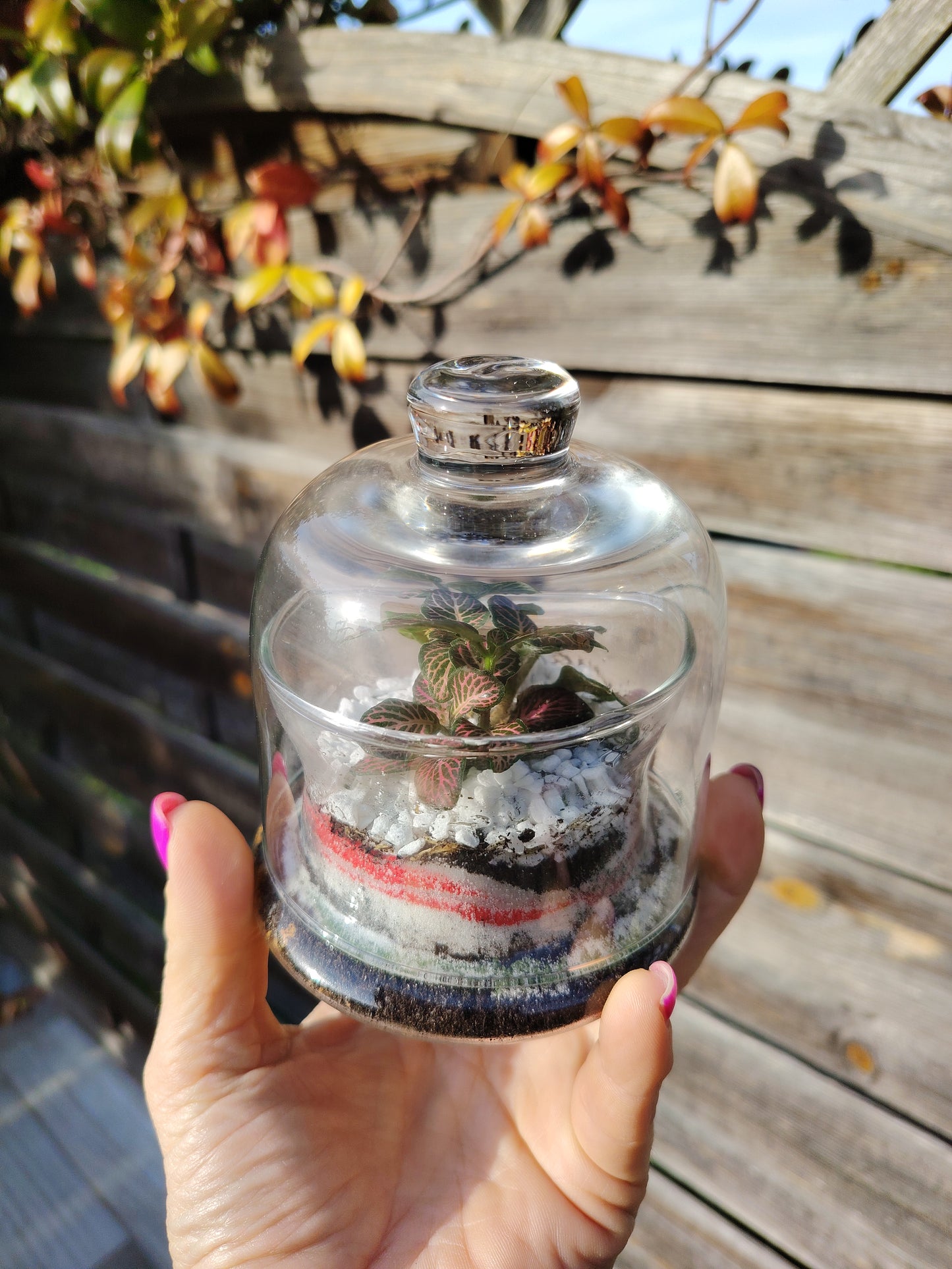 Terrarium “Gemma”