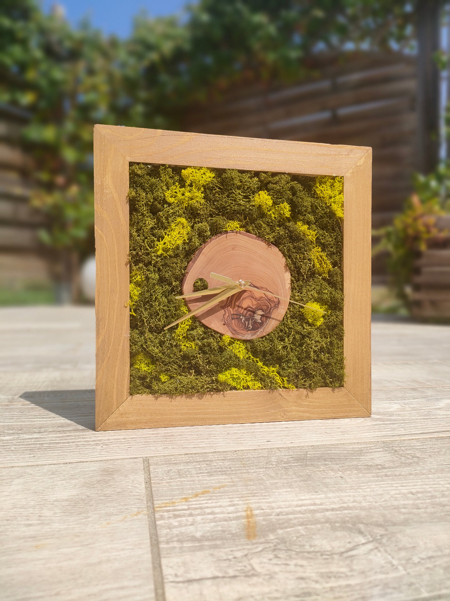 Orologio botanico con cerchio in legno massello e muschio stabilizzato