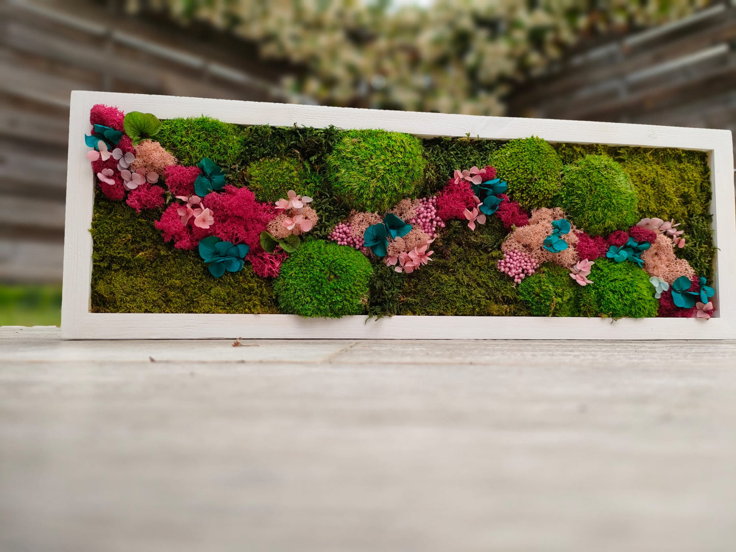 Cornice botanica con ortensie stabilizzate azzurre ,rosa, lichene colorato e muchio