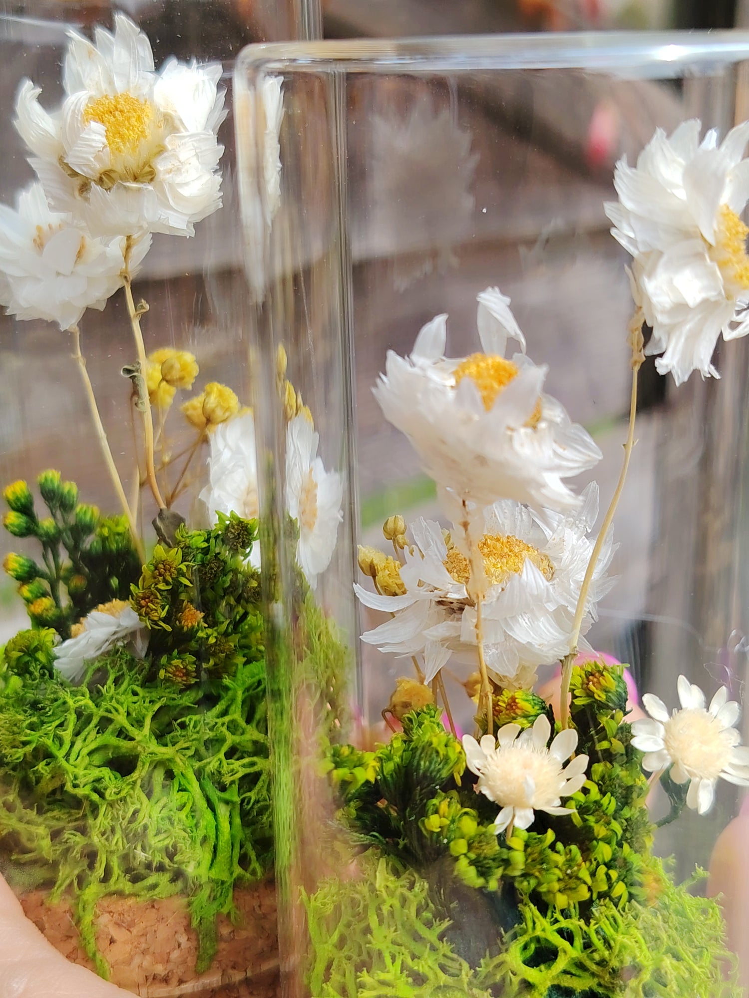 Il giardino delle Margherite