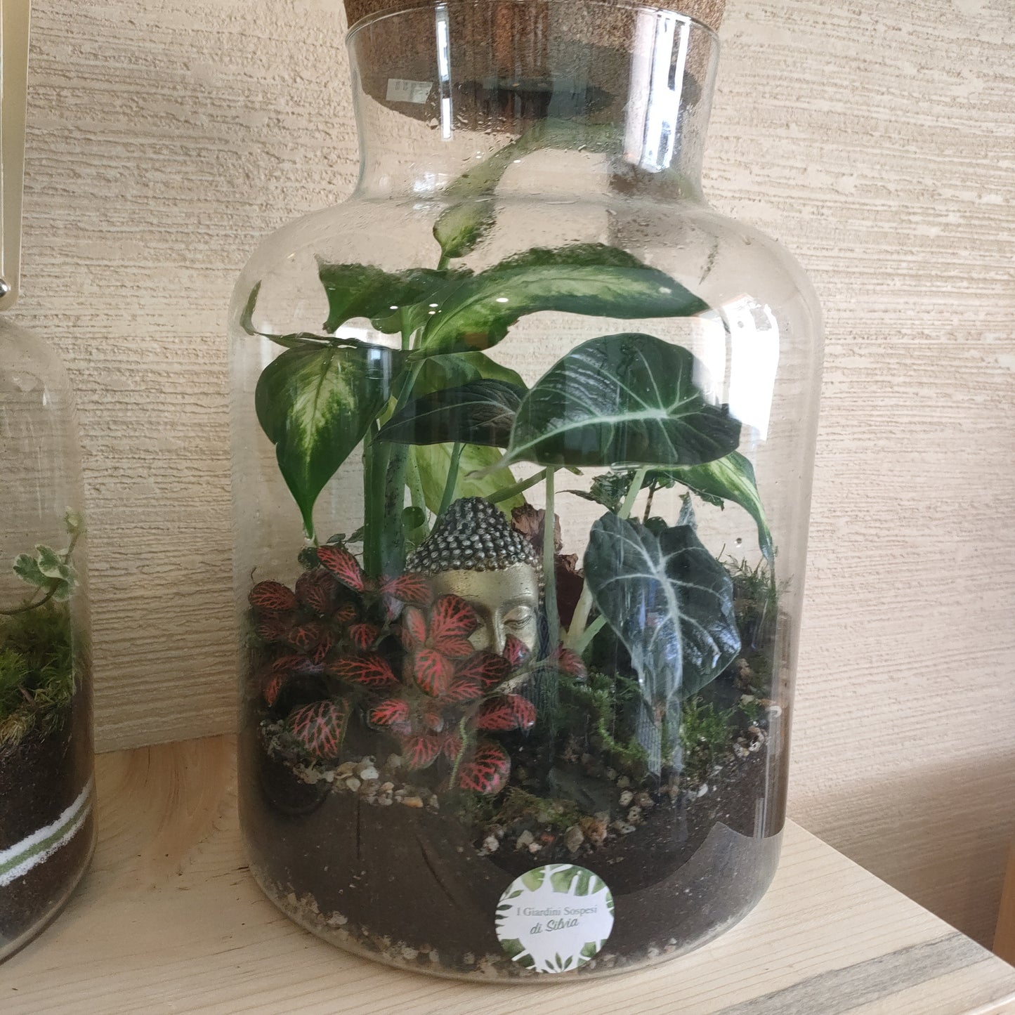 Terrarium ORIGINI