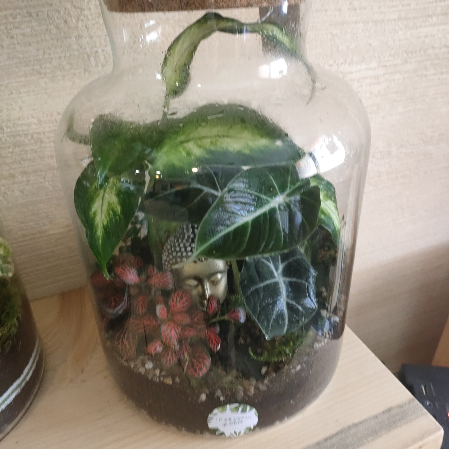 Terrarium ORIGINI