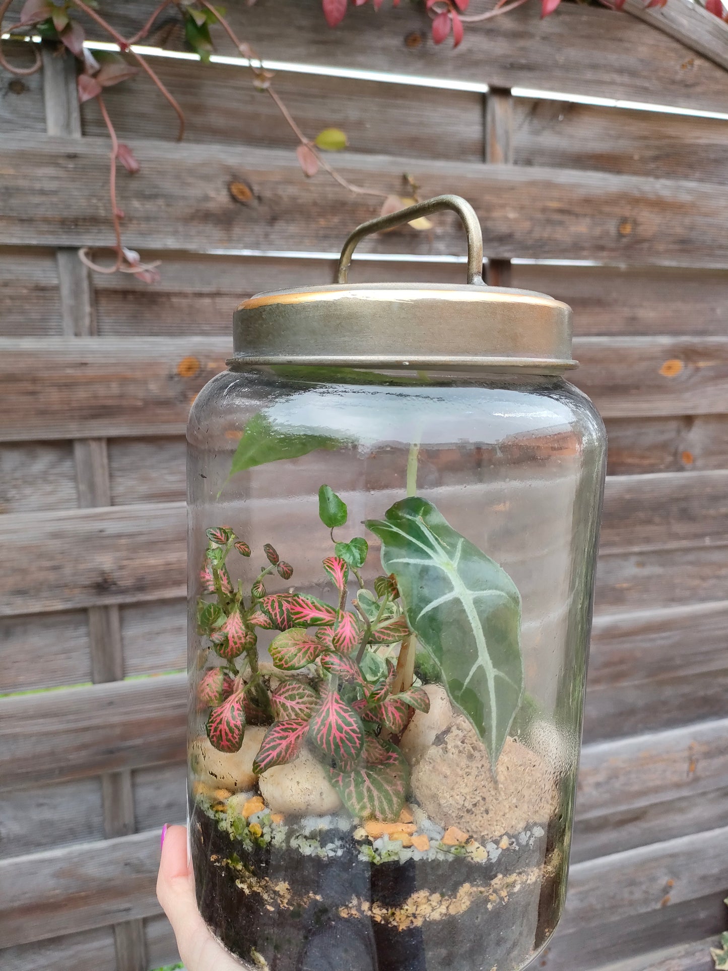 Terrarium SOTTOBOSCO