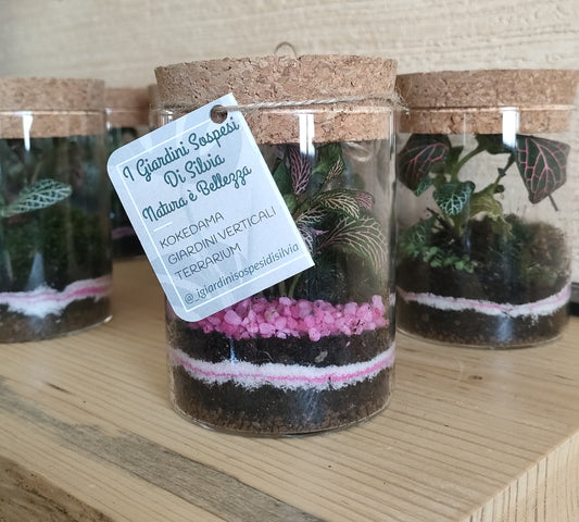 Terrarium Scrigno con fittonie verdi e vetro con tappo – composizione botanica artigianale