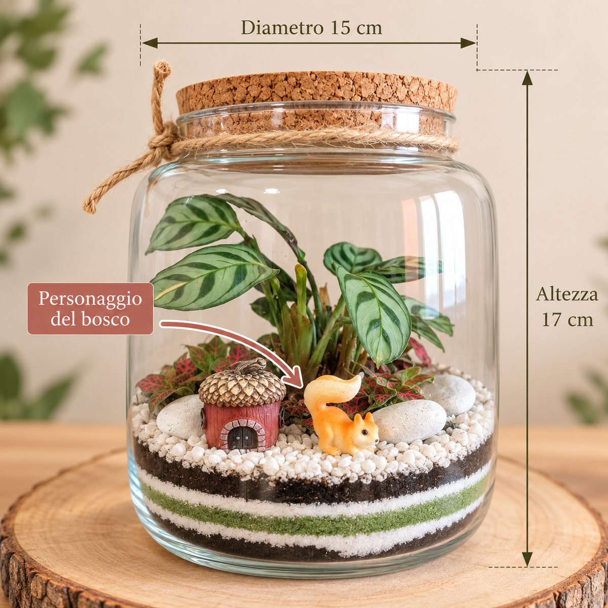 Terrarium bosco incantato con piante vere e personaggio del bosco : scoiattolo 