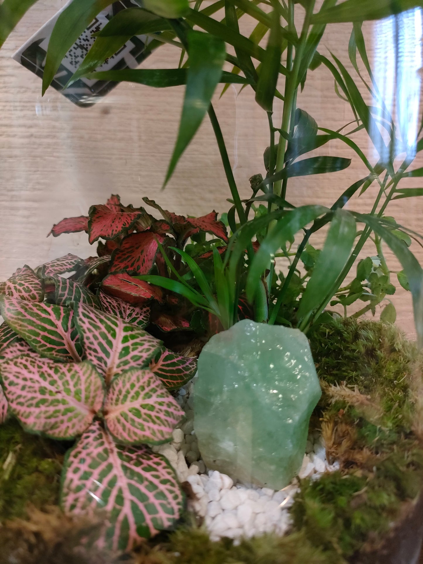 Terrarium con Calcite Verde