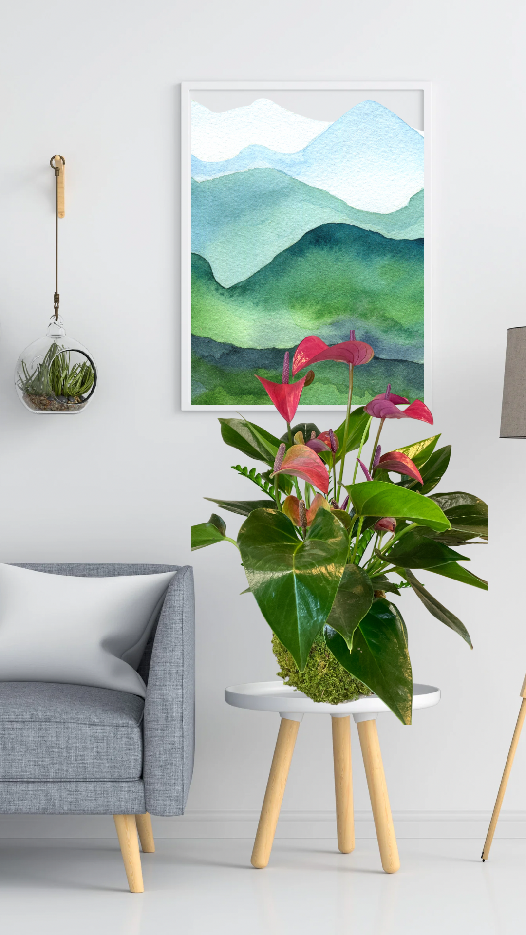 Anthurium in kokedama