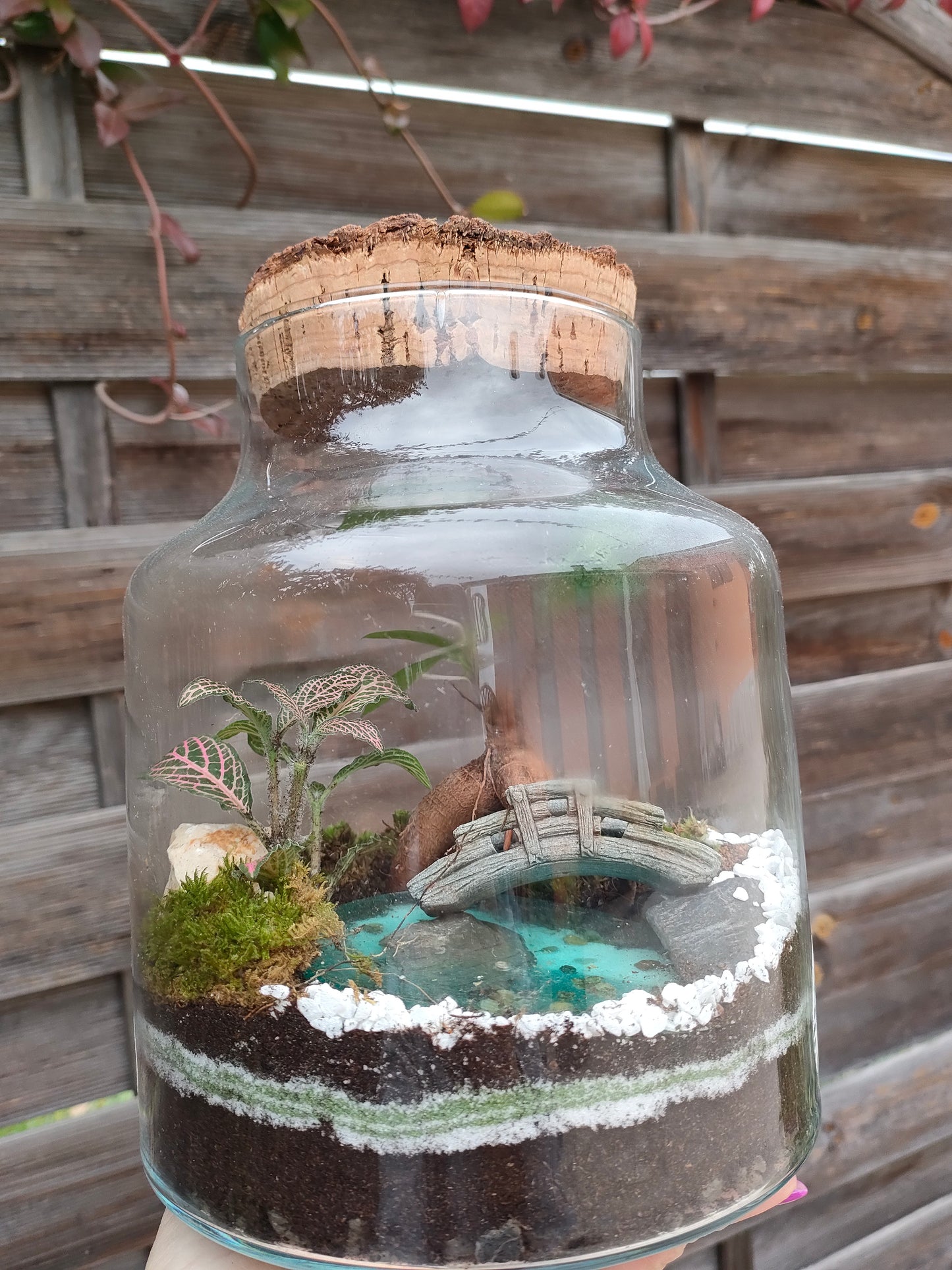 Terrarium Damigiana