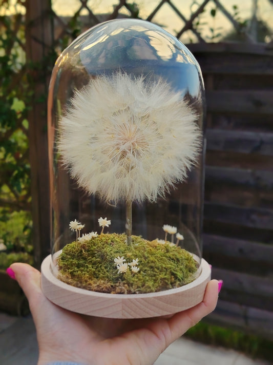 cupola botanica con soffione e muschio