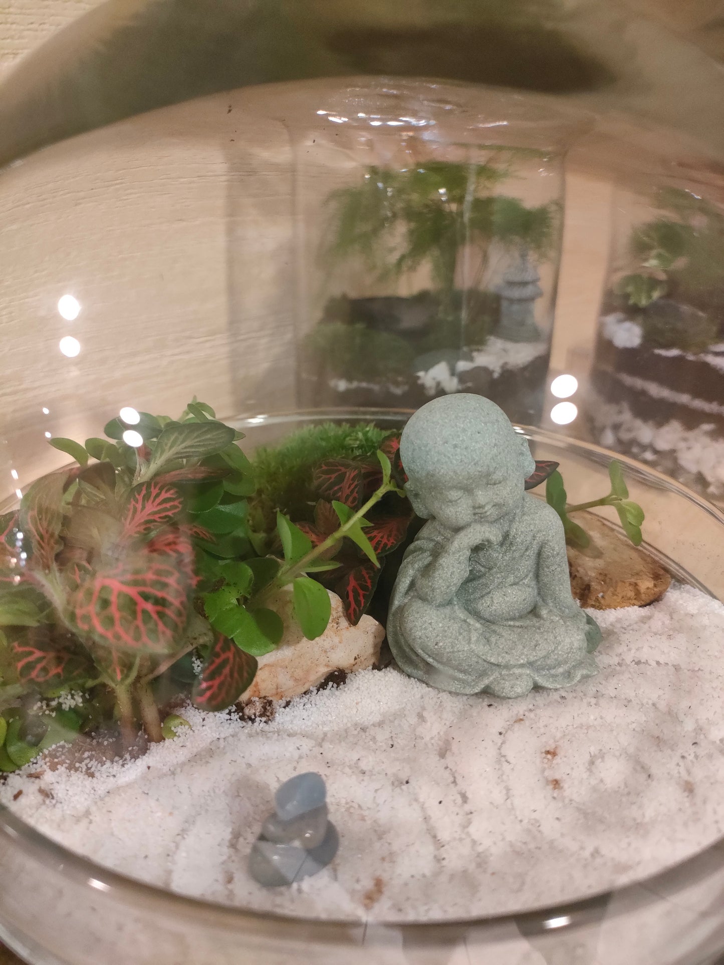 Terrarium Zen