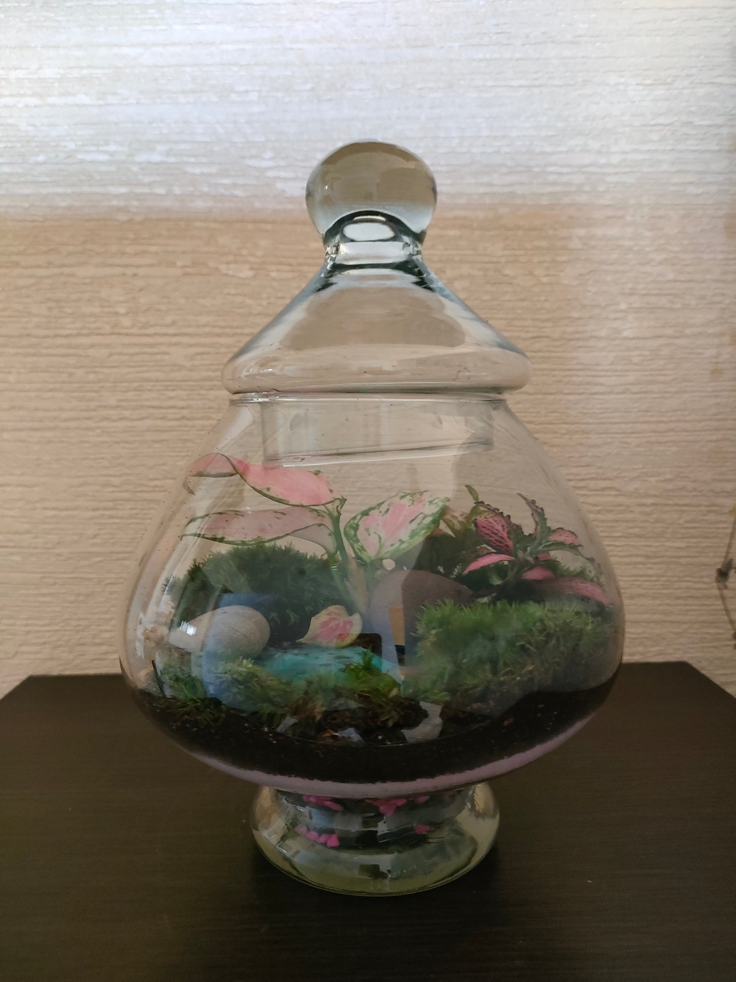 Terrarium Esotico