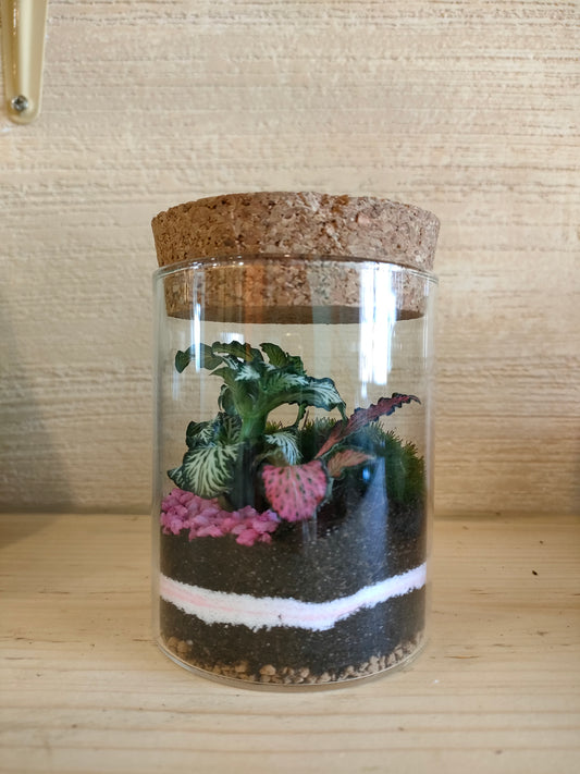 BOMBONIERE MINI TERRARIUM