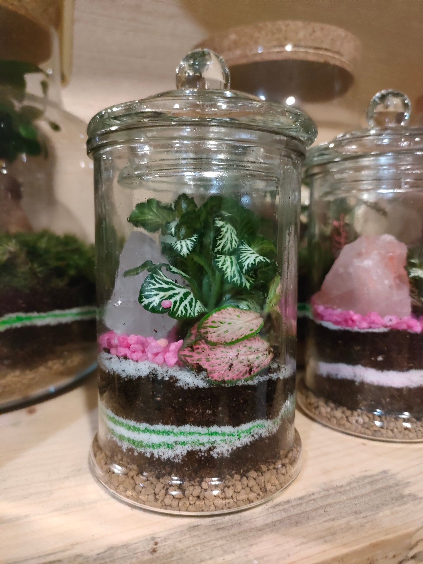 Mini Terrarium con Quarzo rosa