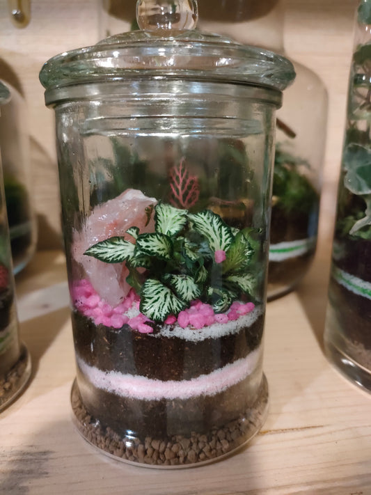 Mini Terrarium con Quarzo rosa