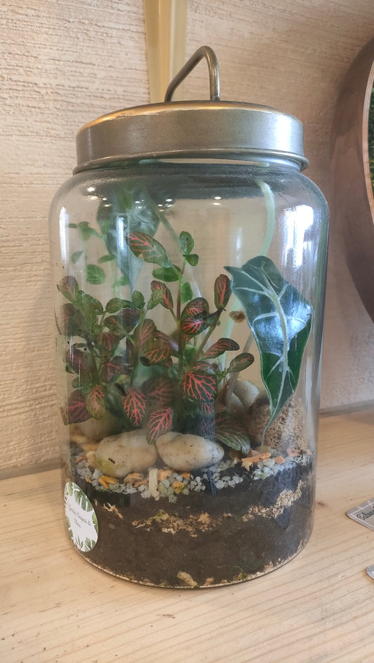 Terrarium SOTTOBOSCO