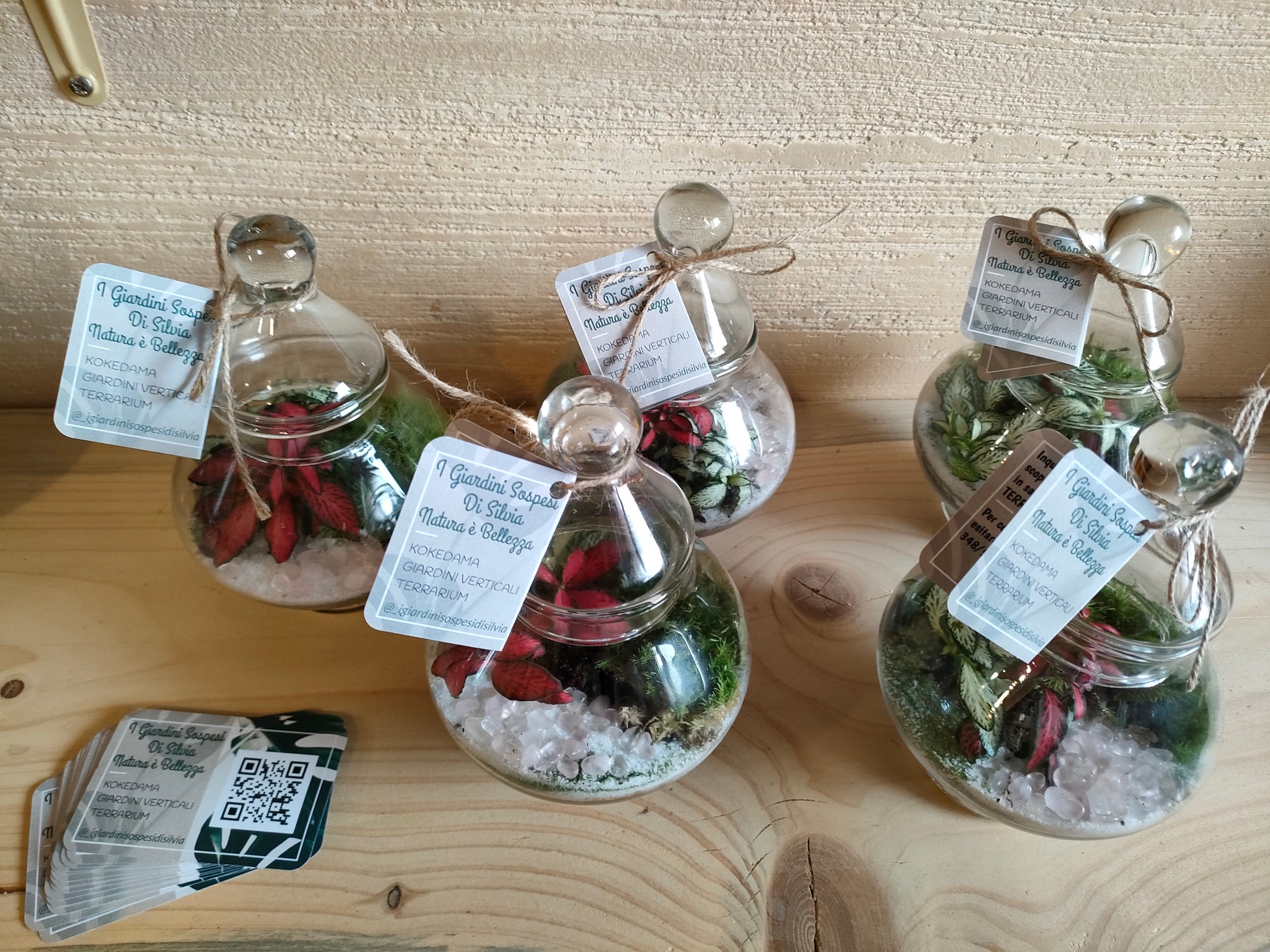 Bomboniere terrarium con fittonia e quarzo rosa