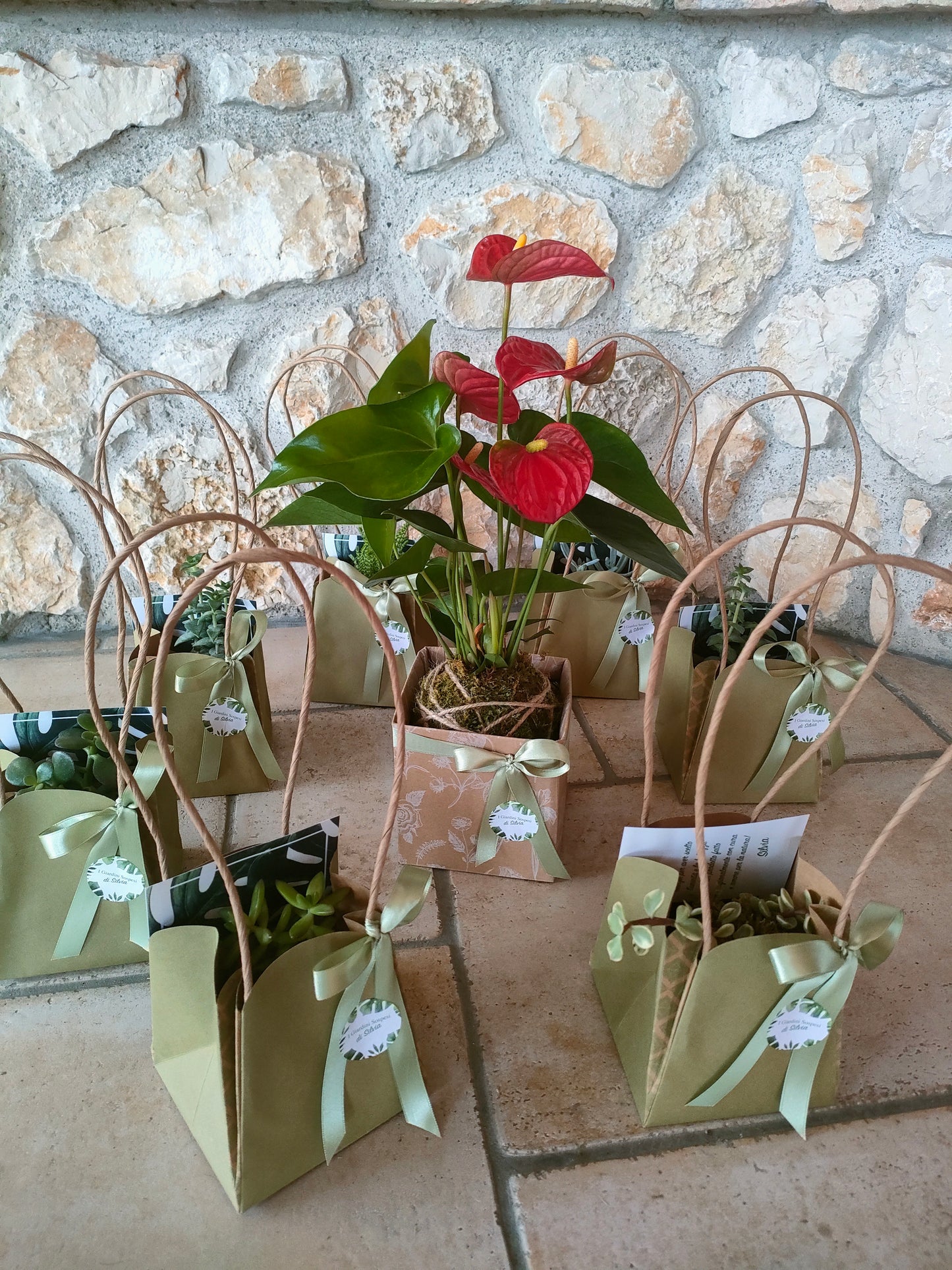 Bomboniere con piante grasse e anthurium