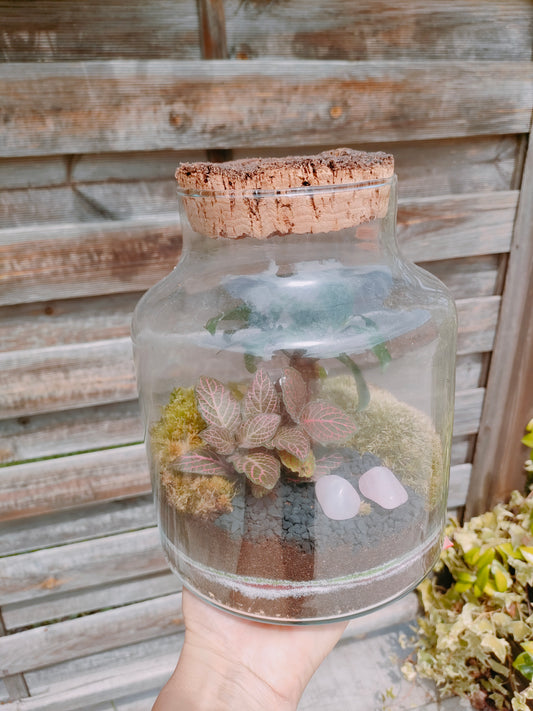 Terrarium in damigiana con quarzo rosa e piante vere realizzato a mano – dettaglio composizione